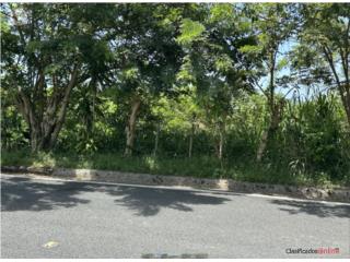 Bo. Jacanas PR-920 1 cuerda y más $4...