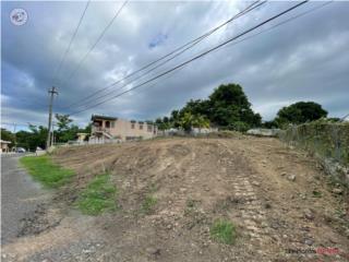 Terreno 760m2 - Rio Hondo Mayagüez