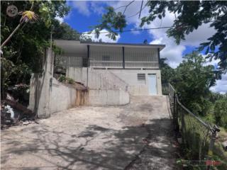 CARR#1 BO PEDRO DAVILA, CAYEY PR