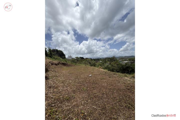Lot in Tejas, Humacao