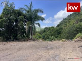 BO. LIMARI, FINCA EN ADJUNTAS