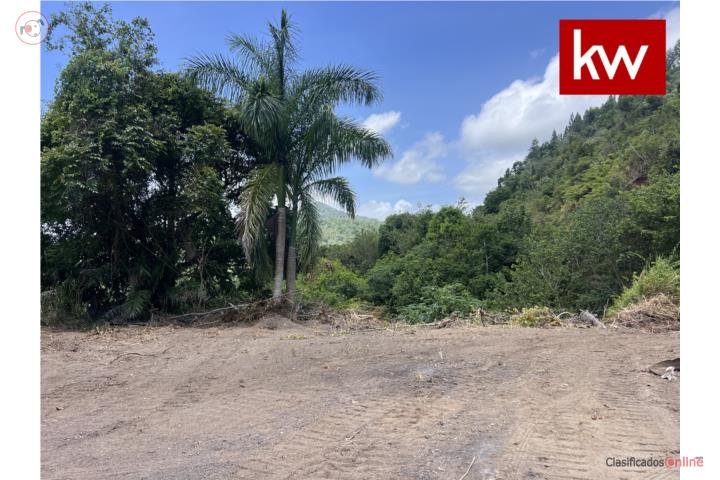Lot in Pueblo, Adjuntas
