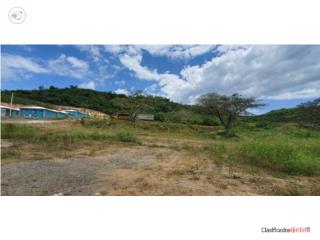 Remanente Finca Buye, Cabo Rojo