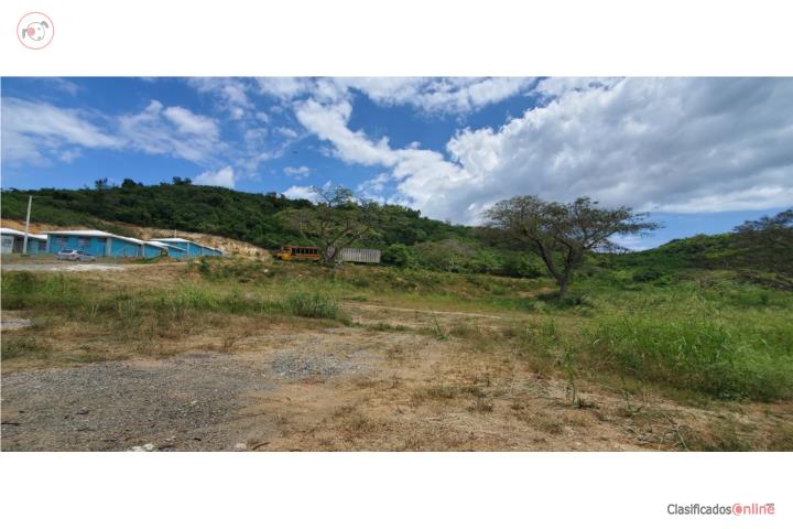 Farm in Buye, Cabo Rojo