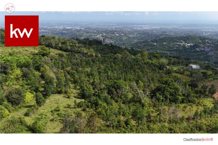 Bo Guzmán Arriba, Finca en Rio Grande
