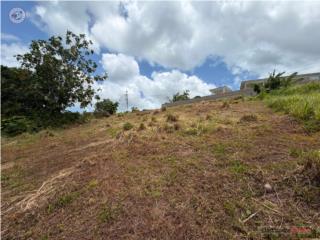 Solar en Venta en Bo. Tejas, Humacao