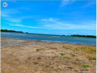 Frente al Mar 33 cuerdas
