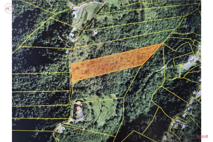 Farm in Pulguillas, Coamo