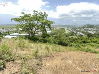 FINCA, 4 cuerdas, vista espectacular ...