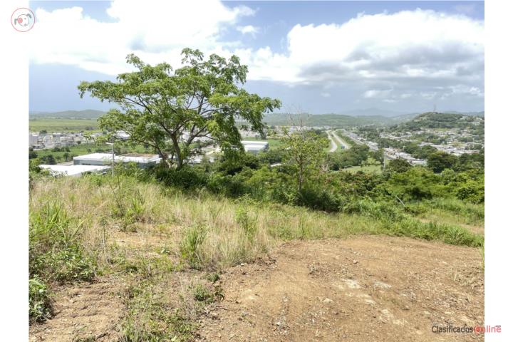 Farm in Rio Abajo, Humacao