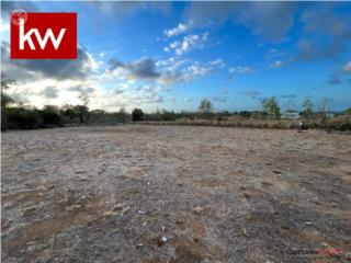 BO. MEMBRILLO, TERRENO EN CAMUY