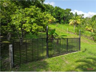 VENTA DE TERRENO