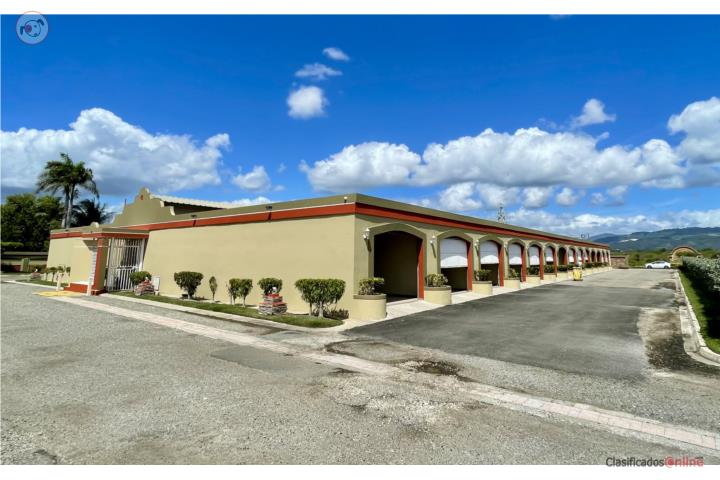 Commercial in Canas, Juana Díaz