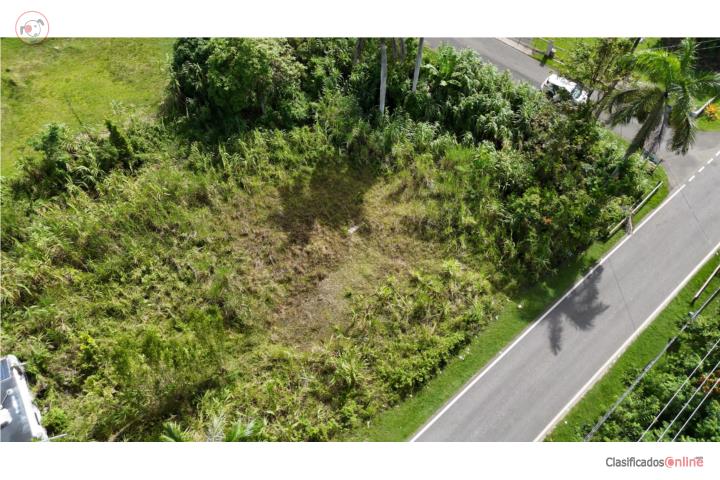 Lot in Planas, Isabela