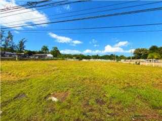 TERRENO COMERCIAL 1.27 CUERDAS, PR-2