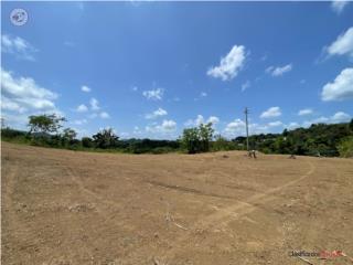 PR-108 MIRADERO-RIO CAÑAS, FINCA RESI...