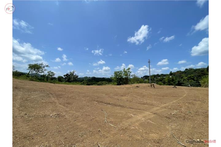 Farm in Miradero, Mayagüez