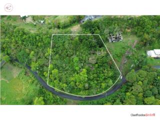 Venta en Bo. Franquez, Morovis