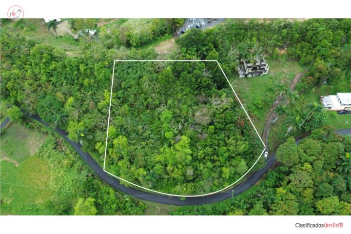 Lot in Franquez, Morovis