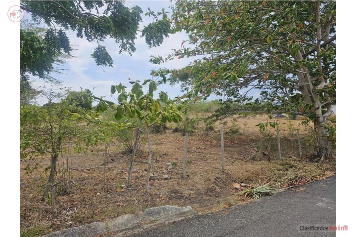 Farm in Finquita Betances, Cabo Rojo
