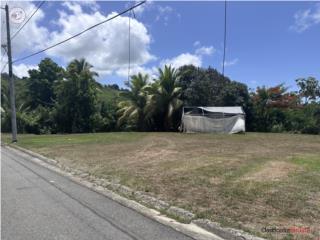 Bo. Calabaza, Yabucoa, 699m2, Lugar Tranquilo