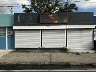 Galeria