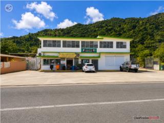 Ferreteria Villega, TurnKey, Bo. Calabazas
