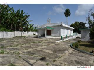 Galeria