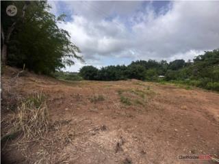 ¡FINCAS EN VENTA-OROCOVIS-PR!