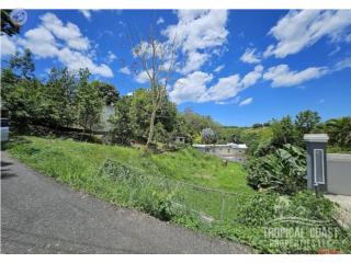 Beautiful vacant lot in the west coast