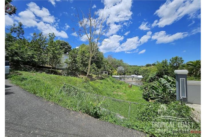 Beautiful vacant lot in the west coast