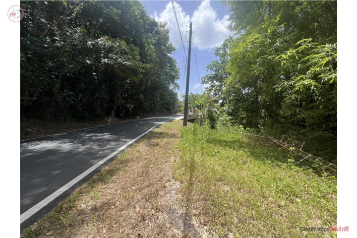 Lot in Toro Negro, Ciales