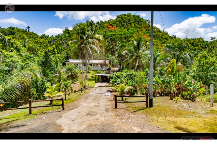 Esperanza Puerto Rico