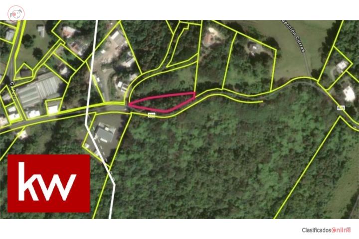 Lot in Barahona, Morovis