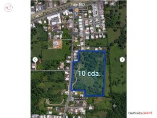 Finca pa segregar solares