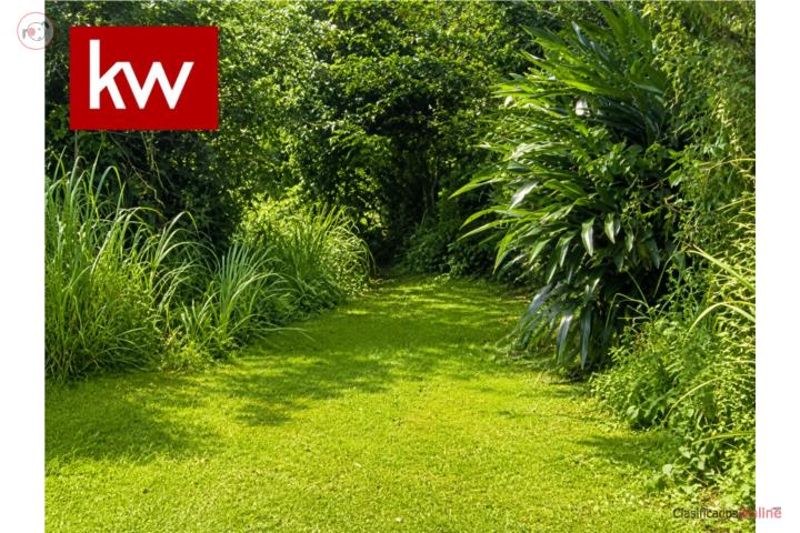 Lot in Palmas, Guayama
