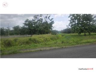 BO HORMIGUEROS CARR PR 2 KM 1.2 HORMI...