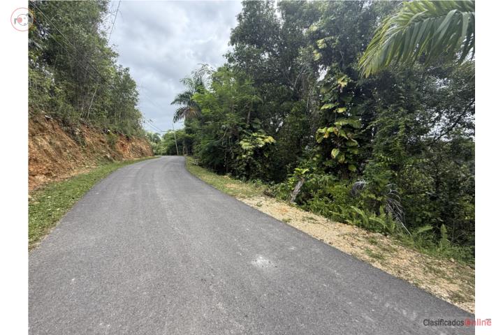 Lot in Planas, Isabela