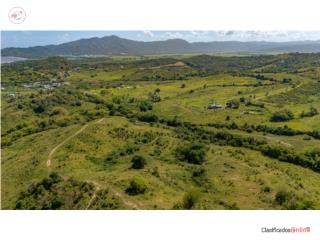 +61 Acres of Land near Palmas Del Mar...