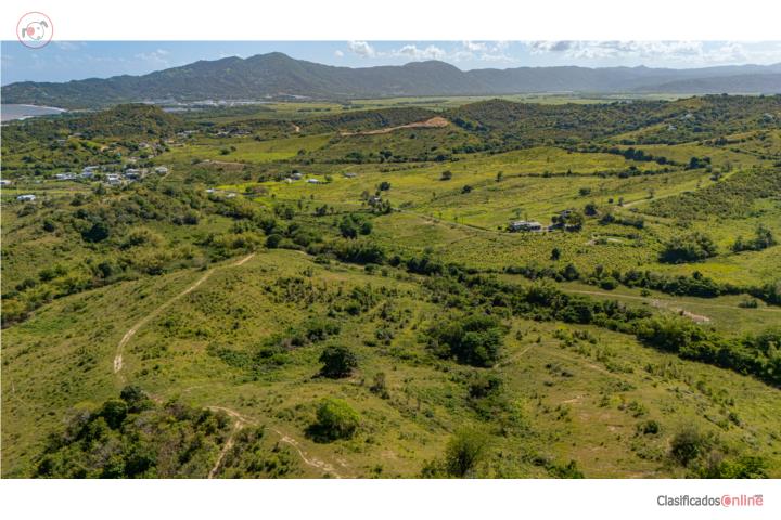 95 Acres of Land near Palmas Del Mar, Humacao