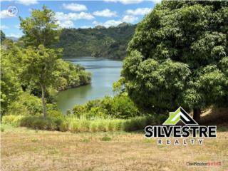 Own Your Private Paradise on Lake La ...