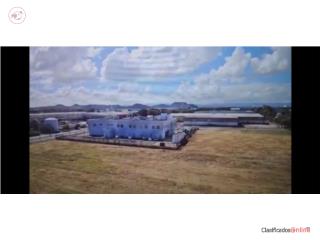 10 Cuerdas Barrio Palmas Cataño, Puer...