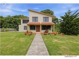 Joya escondida en Colinas del Yunque