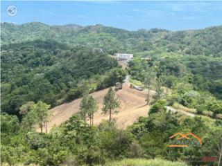 4 CUERDAS DE TERRENO, BO. PULGUILLAS