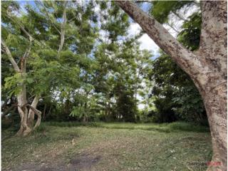 1,446 m² Lot on Main Road in Añasco
