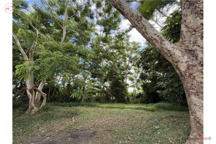 1,446 m² Lot on Main Road in Añasco