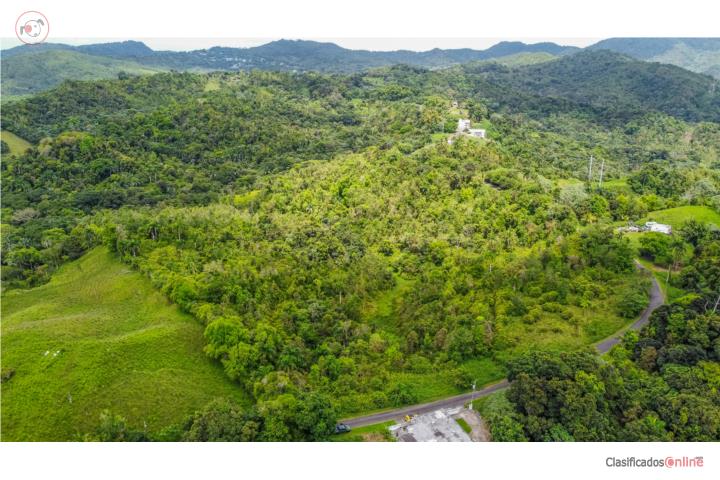 Bo. Mariana, Naguabo | 20 Cuerdas de Terreno