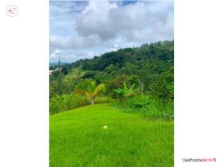 VENTA CAYEY BO GUAVATE 2.36 CUERDAS