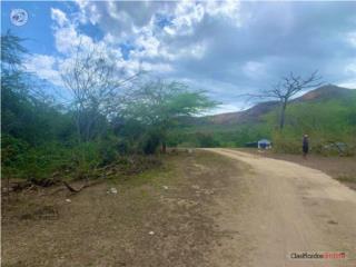 VENTA TERRENO JUANA DIAZ