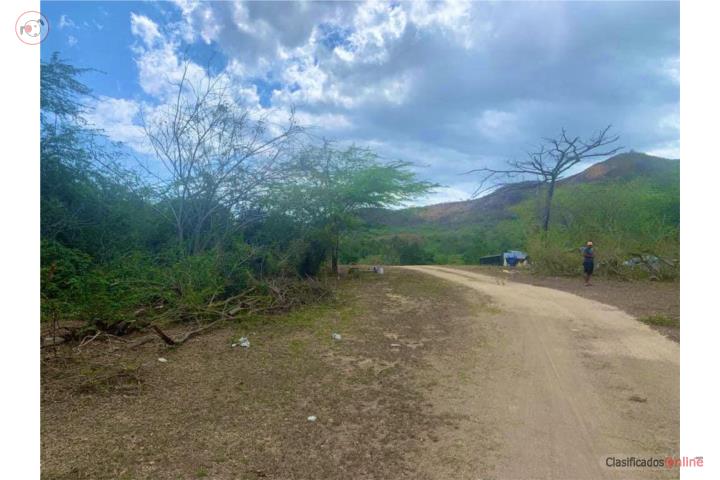 VENTA TERRENO JUANA DIAZ